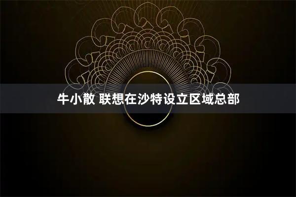 牛小散 联想在沙特设立区域总部