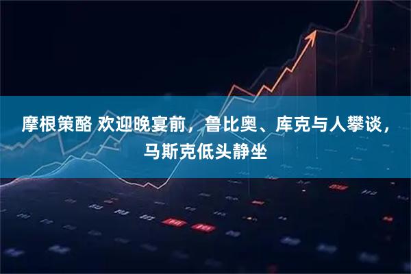 摩根策酪 欢迎晚宴前，鲁比奥、库克与人攀谈，马斯克低头静坐