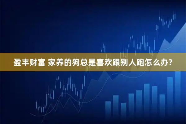 盈丰财富 家养的狗总是喜欢跟别人跑怎么办?