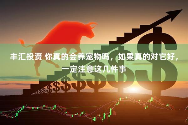 丰汇投资 你真的会养宠物吗，如果真的对它好，一定注意这几件事