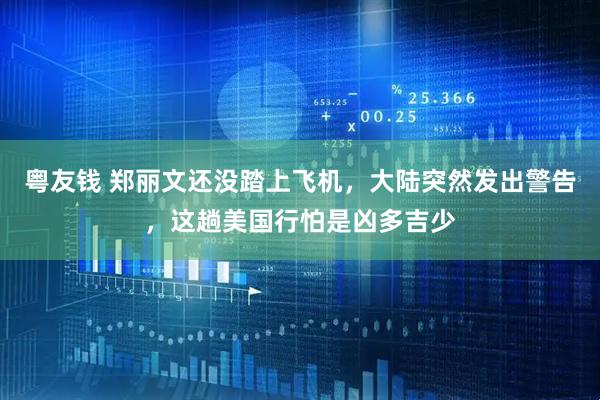 粤友钱 郑丽文还没踏上飞机，大陆突然发出警告，这趟美国行怕是凶多吉少